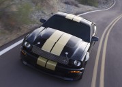 Tapety Shelby